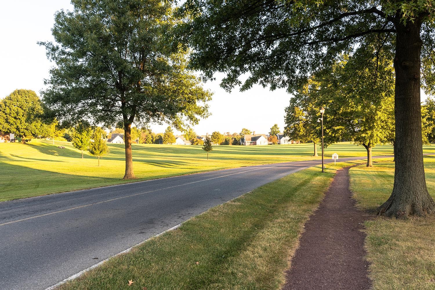 Road next to walking path