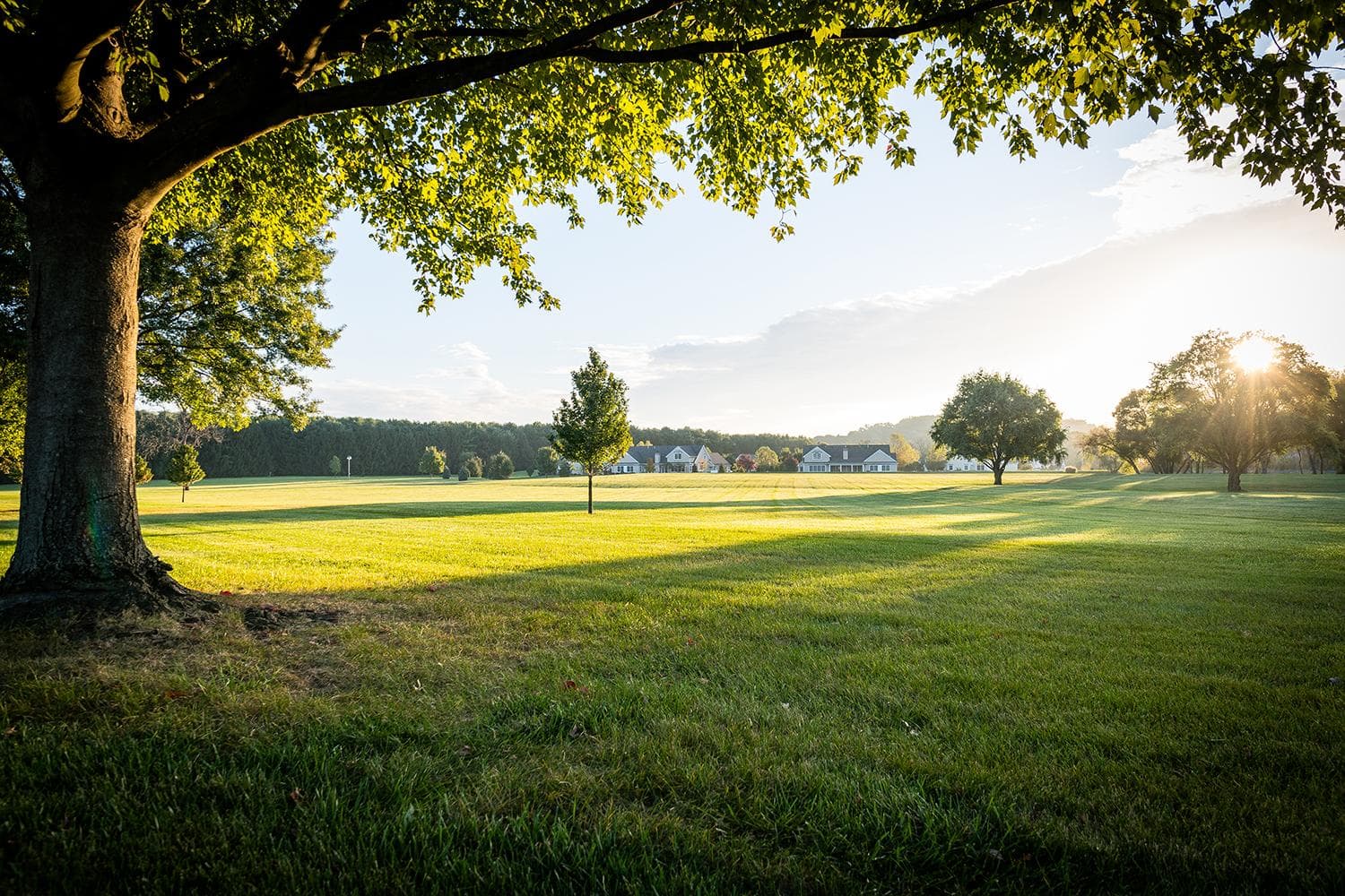 Landscape with houses in background