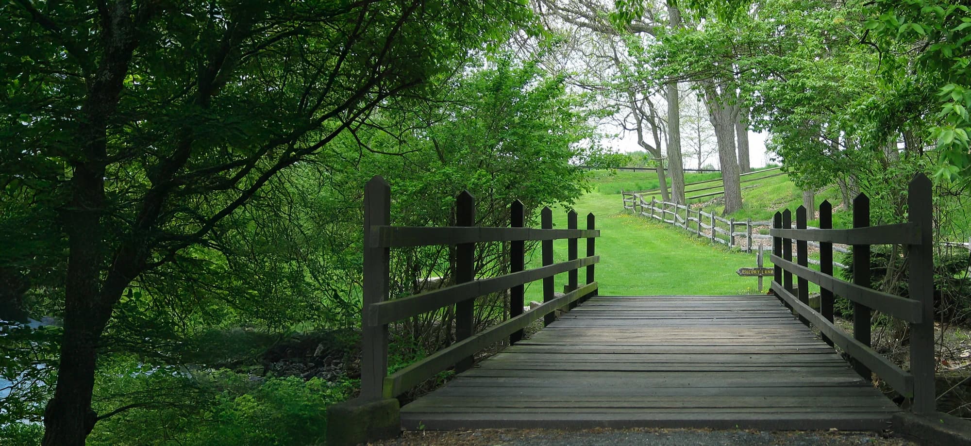 Wooden bridge leading to walking path