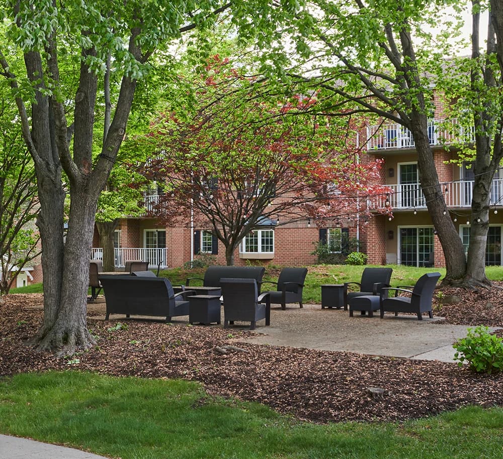Outdoor sitting area under trees