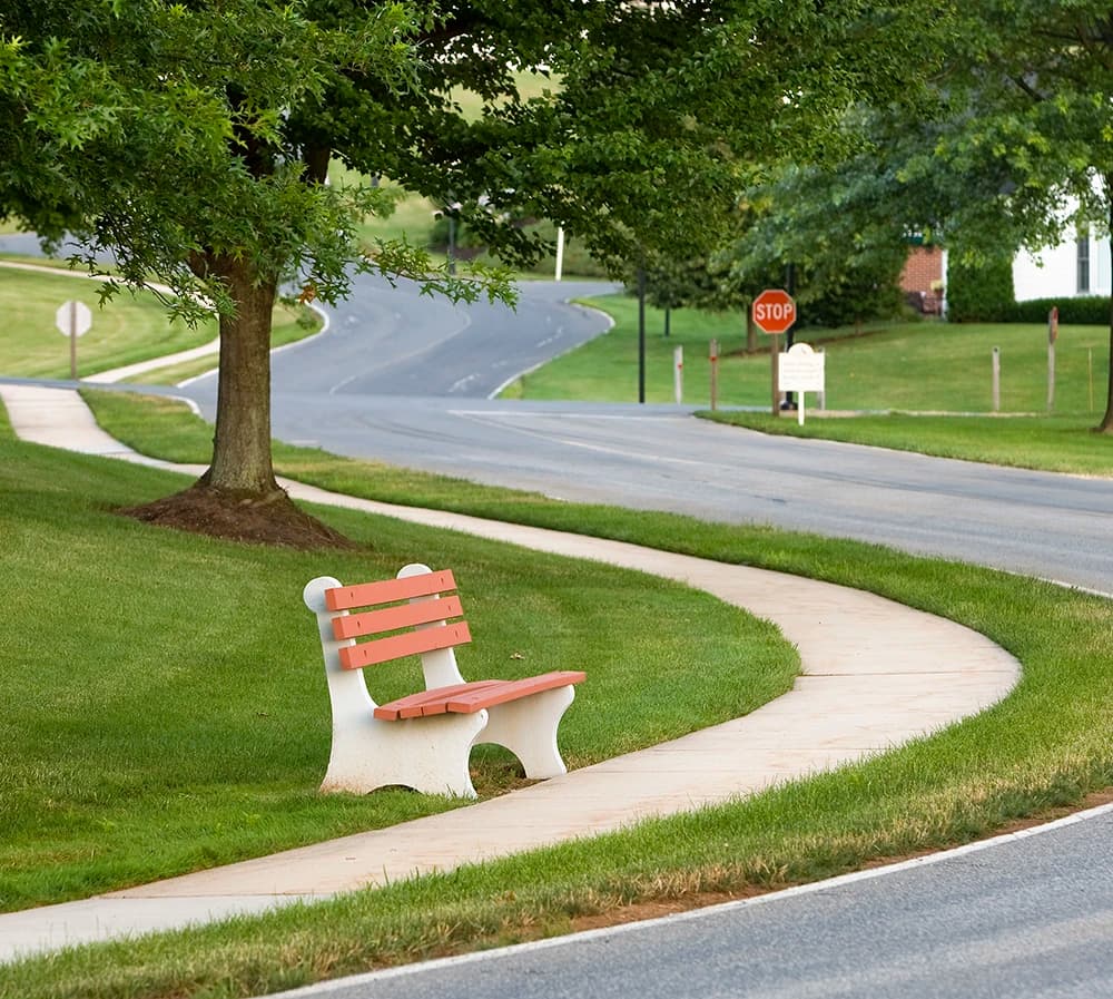 Bench next to walking path and road
