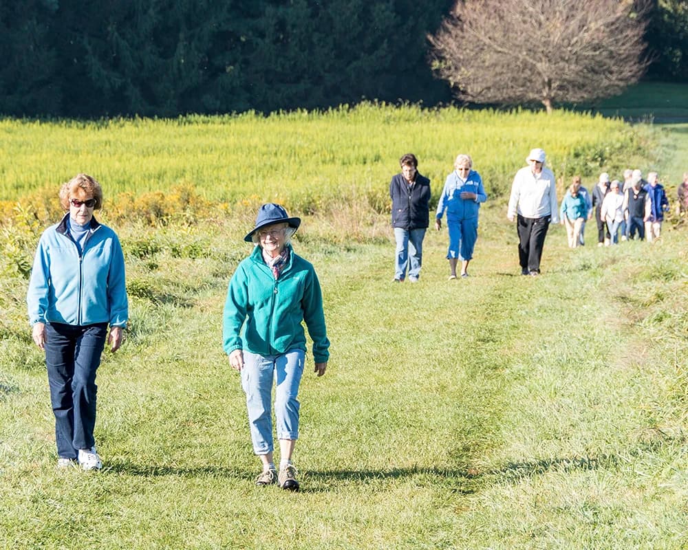 Residents walking in a field